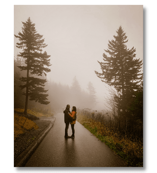 couple on a path between two pine trees embracing